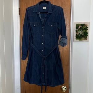 Gap Denim Dress